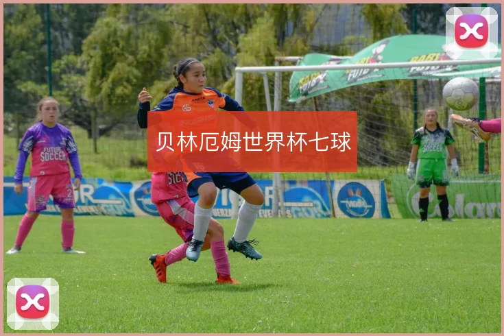 贝林厄姆世界杯七球