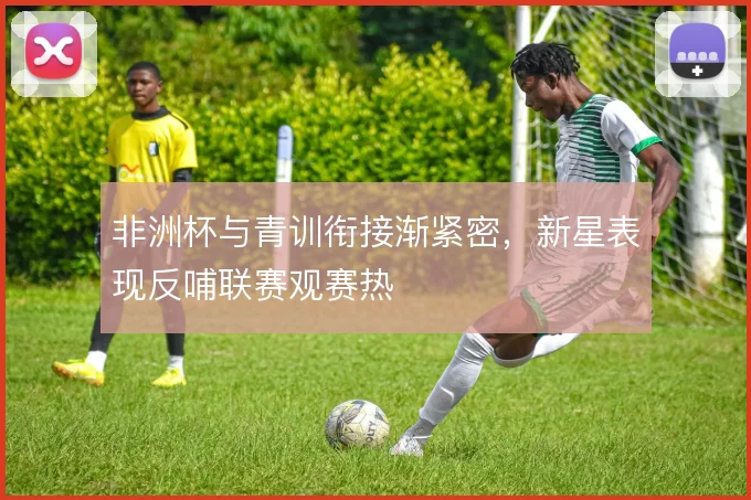 非洲杯与青训衔接渐紧密，新星表现反哺联赛观赛热